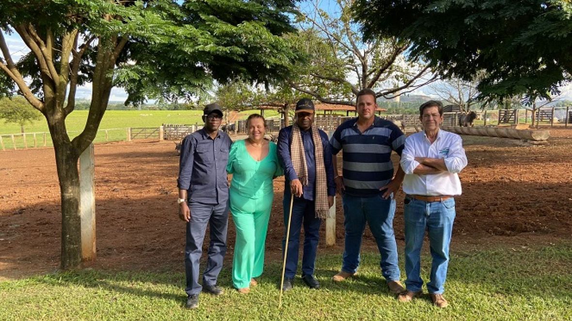 Associado à ABCZ, criador de Guzerá exporta animais para o Senegal