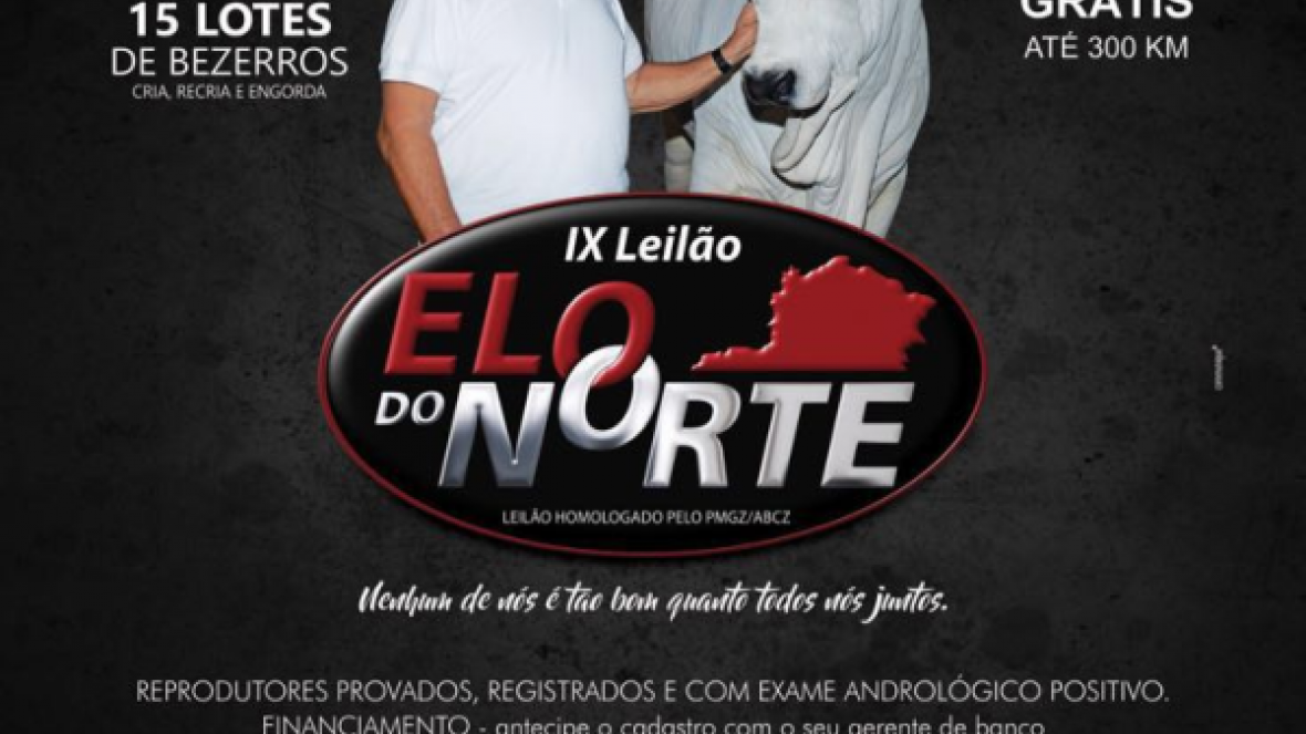 Elo do Norte oferta touros PMGZ em Joaquim Felício, MG 