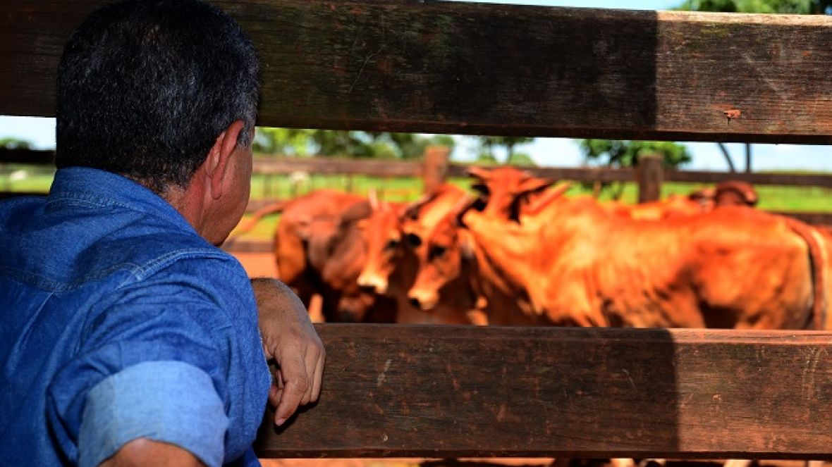 ABCZ garante melhorias nas demandas técnicas para os associados