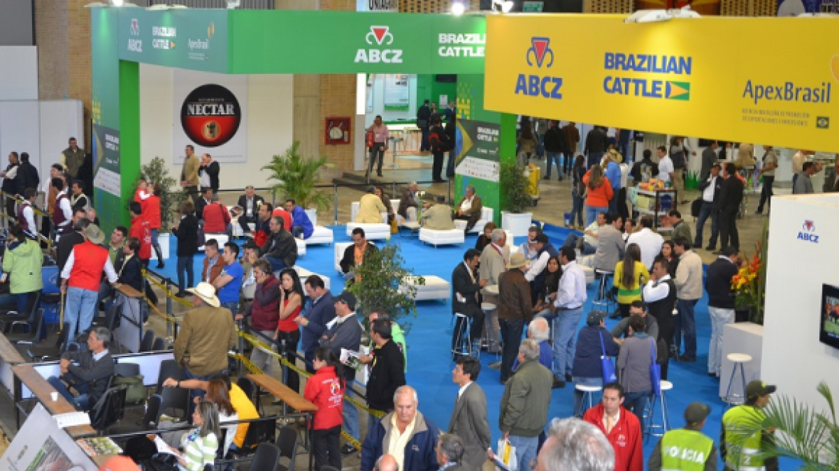 Projeto de exportação Brazilian Cattle chega aos EUA e comemora crescimento nos últimos três anos