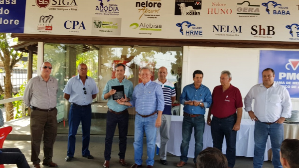 ?2ª PGP a pasto Amigos do Nelore? termina com 32 animais participantes