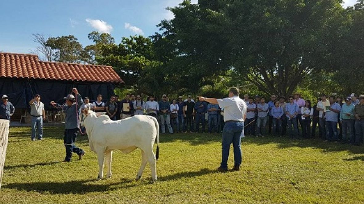 Diretor acadêmico da Fazu ministra aula no 3º Curso de Seleção de Reprodutores na Bolívia