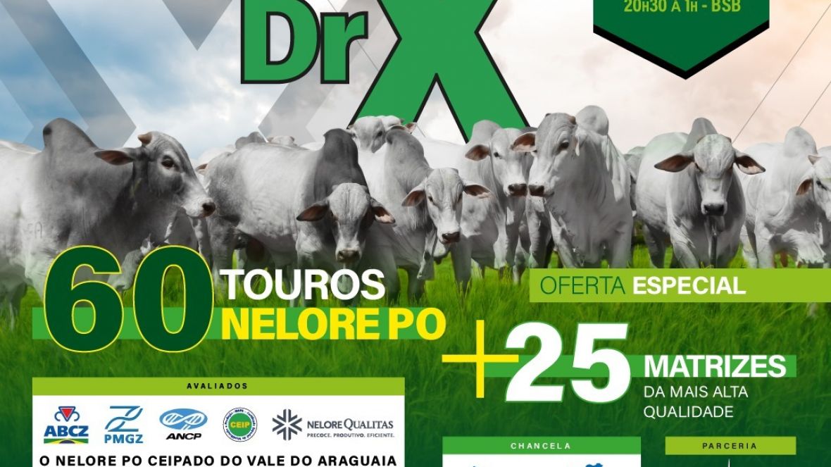 1º Leilão DRX de Touros Nelore PO recebe homologação da ABCZ