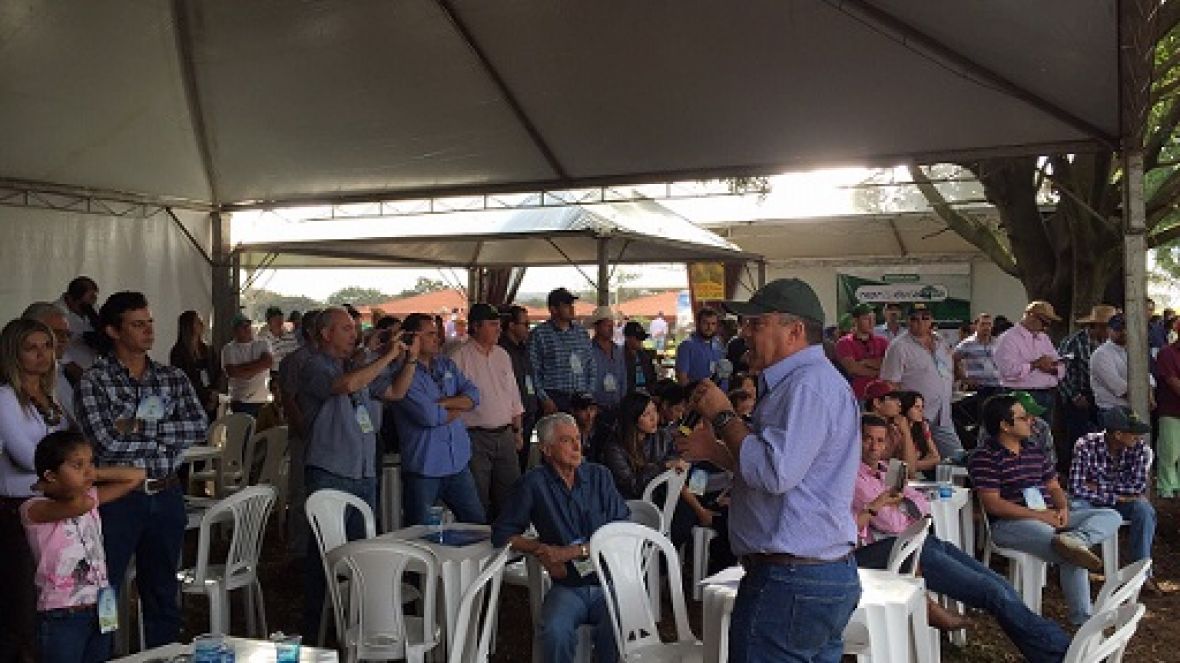 Dia de Campo da Fazenda Valônia tem apresentações do PMGZ
