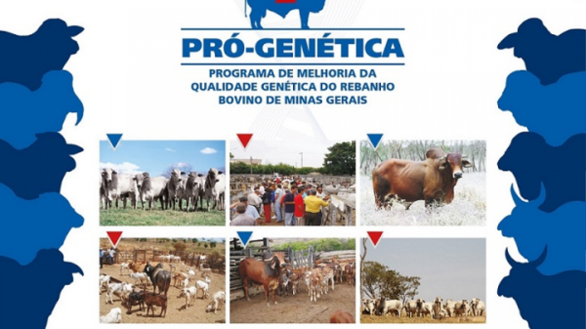 Confira a agenda de feiras do Pró-Genética da semana