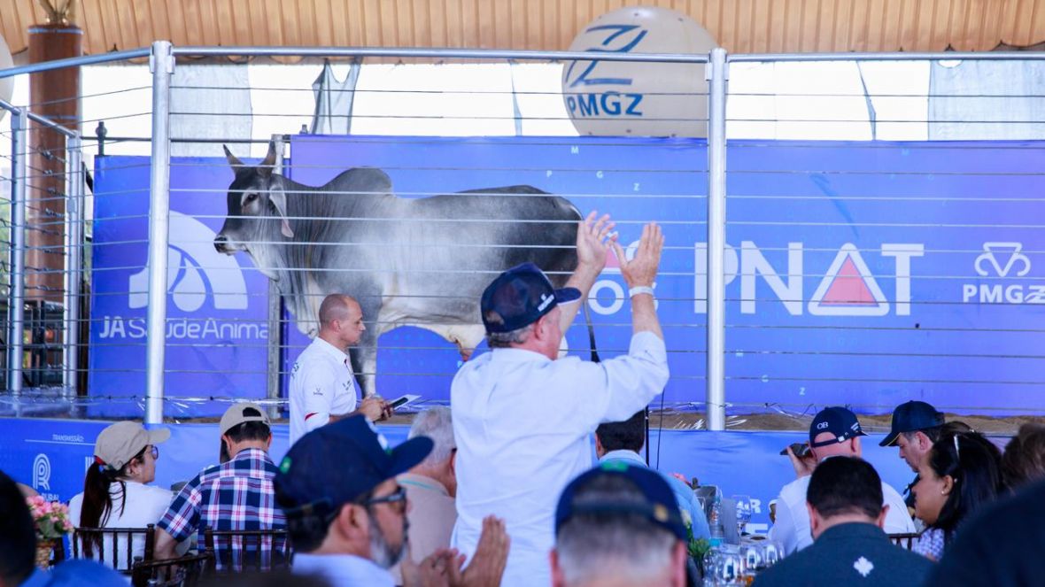 17ª ExpoGenética: 7º Leilão PNAT movimenta R$ 1,5 milhão em Uberaba (MG)