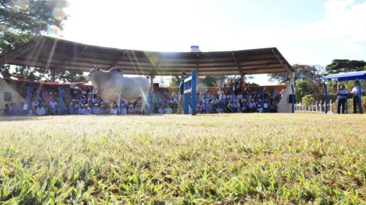  Desfile mostra tendências genéticas para 2017/18