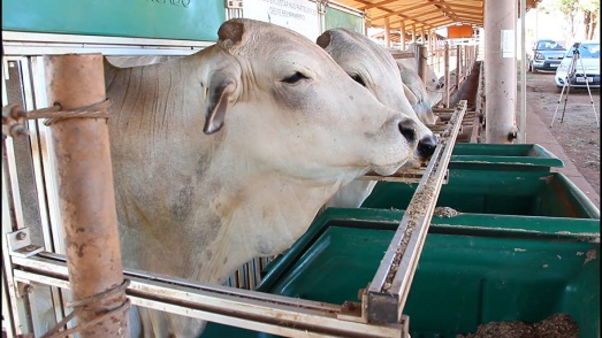 Divulgado o Regulamento do PNAT 2018