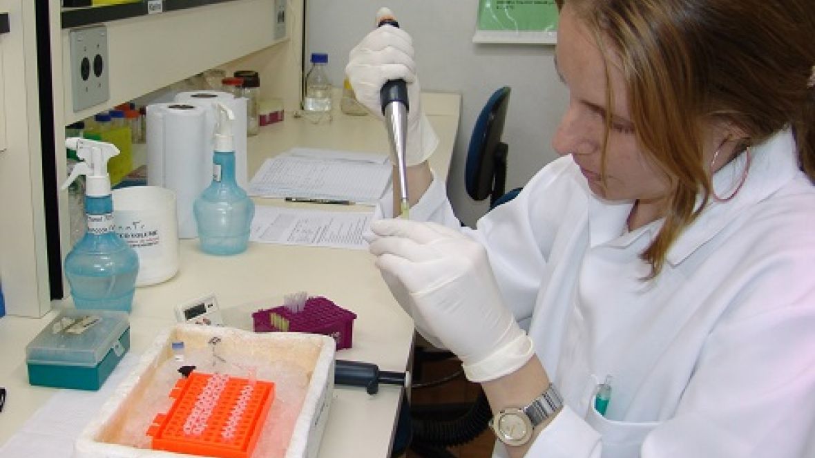 Seleção Genômica é destaque no 9º Congresso Brasileiro das Raças Zebuínas 