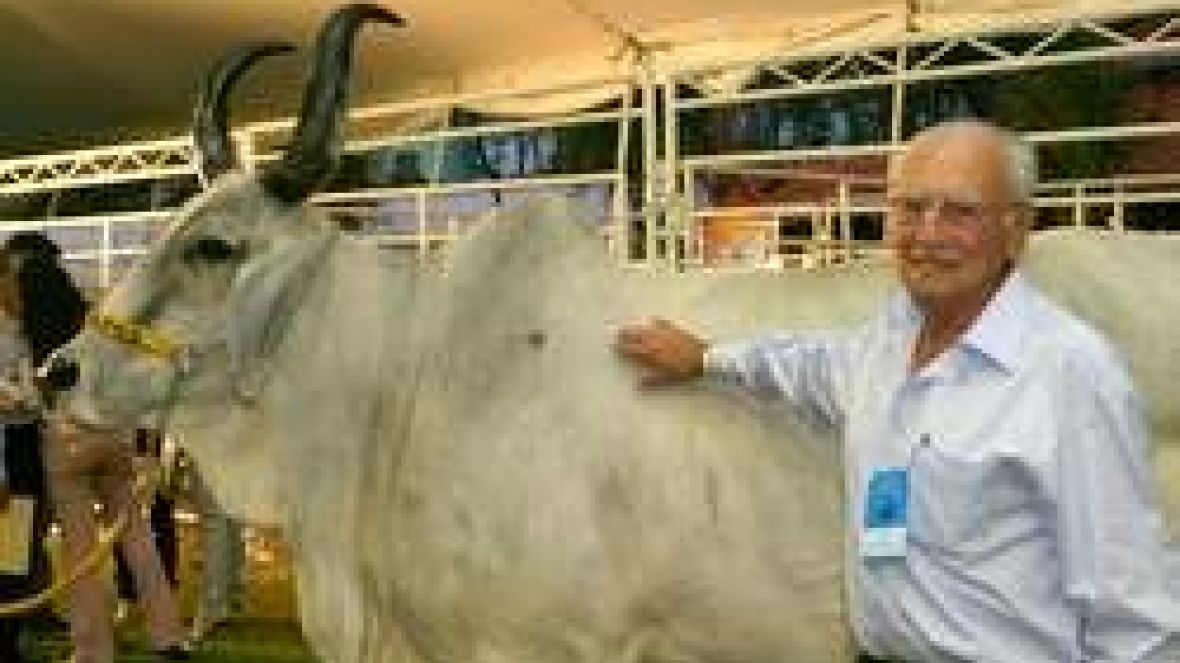 Falece criador de Guzerá José Transfiguração