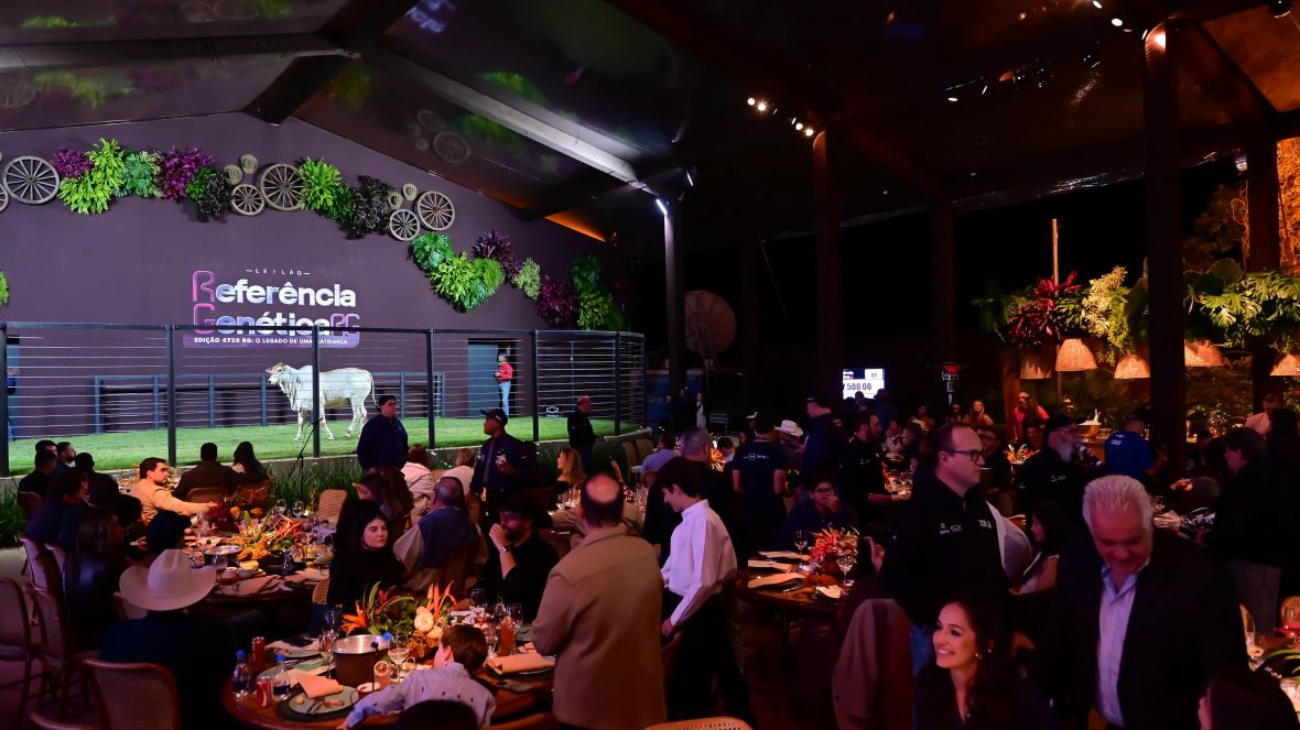 Primeiro leilão da 18ª ExpoGenética movimenta mais de R$ 3,5 milhões