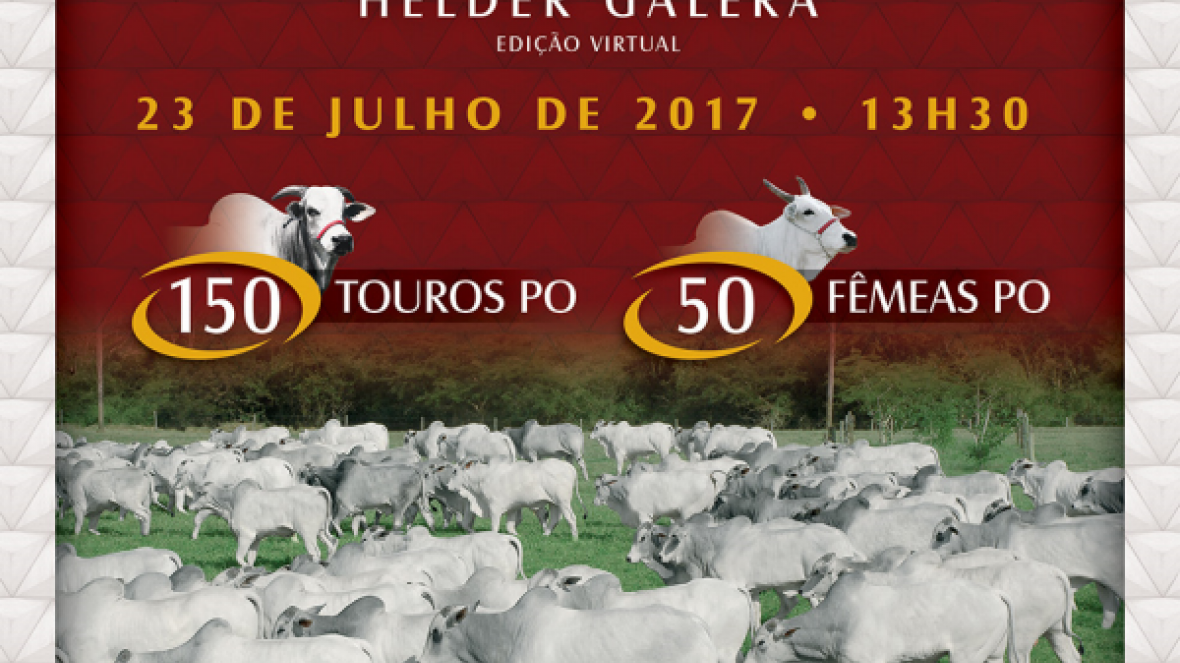 Com chancela do Pró-Genética, Leilão Helder Galera terá oferta de 150 touros