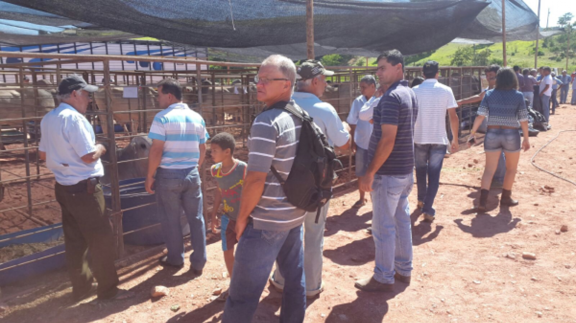 Pró-Genética fez sucesso em duas feiras mineiras 