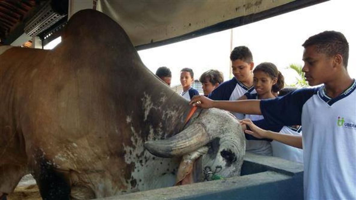 Alunos de 30 escolas participam de Projeto Defensores da Pecuária Sustentável