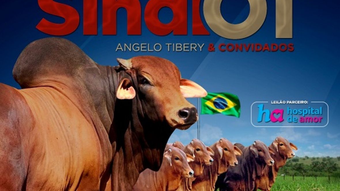 ?3º Leilão Sindi OT Angelo Tibery e Convidados? será realizado no próximo sábado (25)