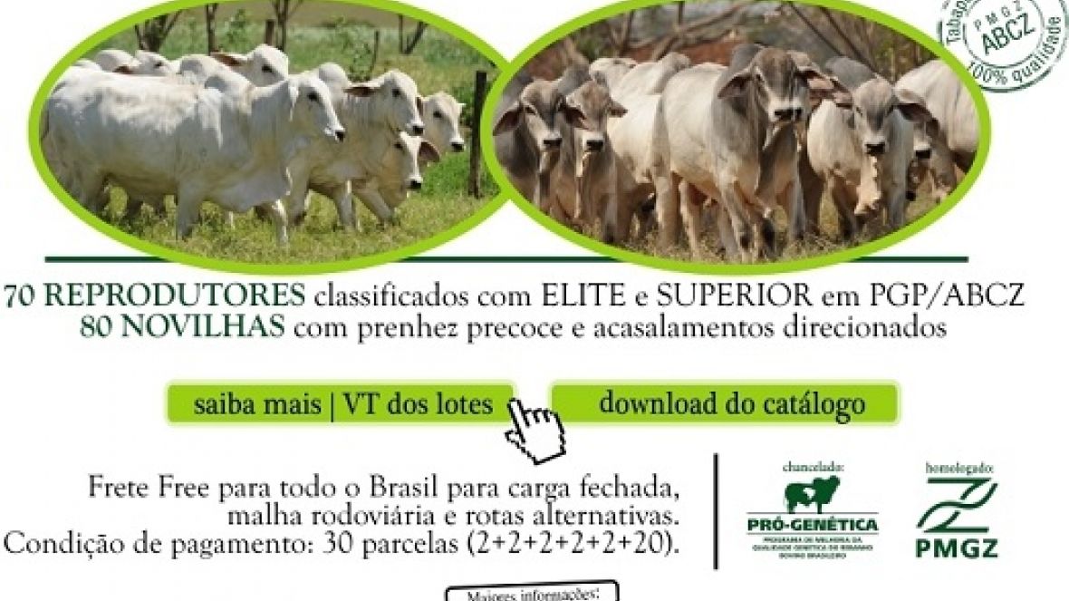 ?Leilão Virtual TAB G4? ofertará reprodutores e novilhas com genética comprovada