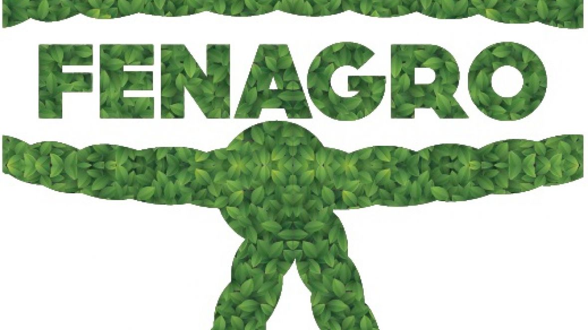 Fenagro 2014 terá curso sobre escolha de zebuínos - Inscrições abertas