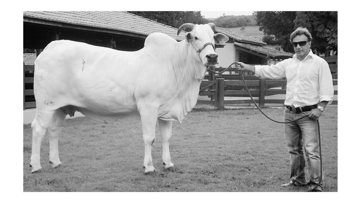ABCZ lamenta falecimento de Luiz Roberto Menezes Soares