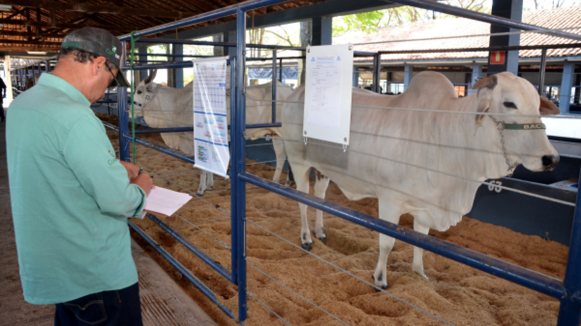 ExpoGenética: Inscrições abertas para o Prêmio Claudio Carvalho