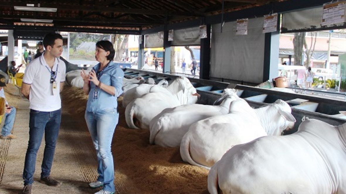 ExpoZebu recebe a visita do Cônsul do Reino Unido em Belo Horizonte
