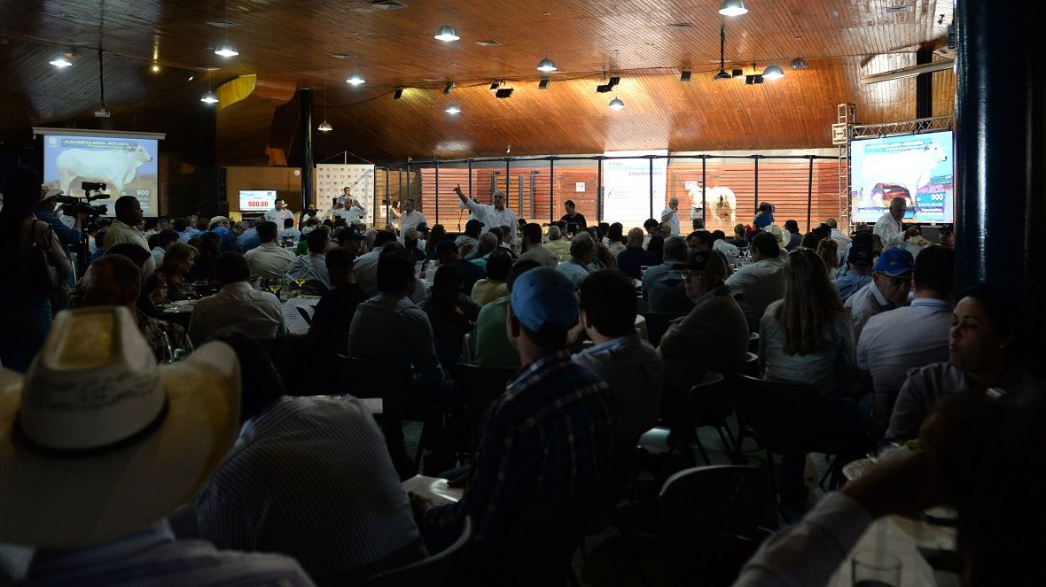 ExpoGenética 2022: Temporada de leilões e shopping começa nesta sexta (19)