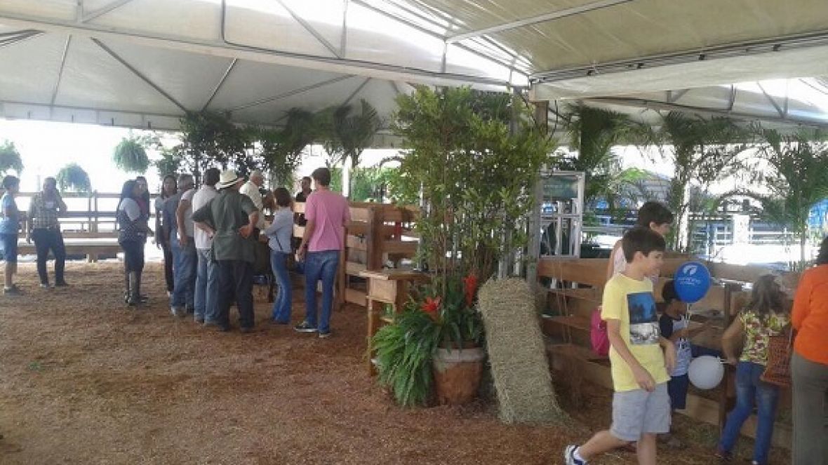 Fazendinha atrai atenção do público da ExpoZebu no estande da FAZU
