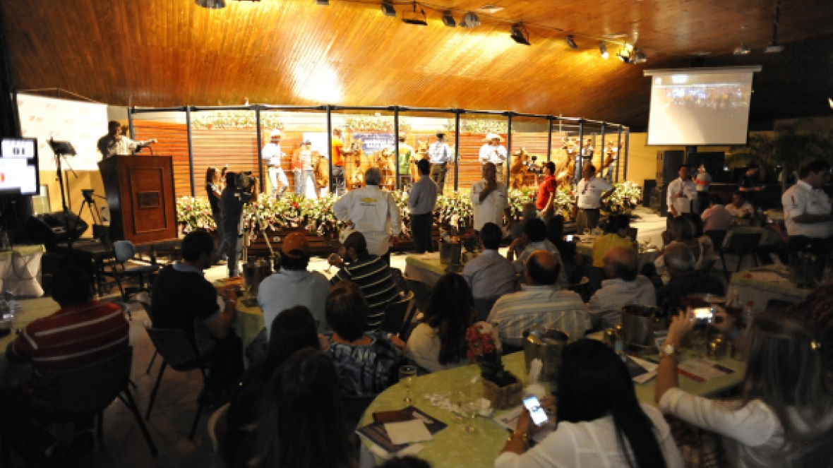 ExpoZebu 2017 terá 21 leilões e 3 shoppings de animais