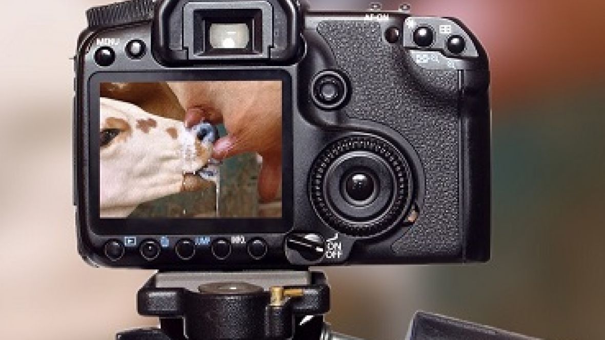 Inscrições abertas para Prêmio de Reportagem e Concurso de Fotografia
