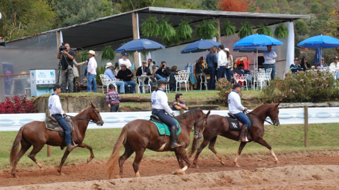 ExpoZebu 2017 sediará Copa de Marcha Mangalarga 