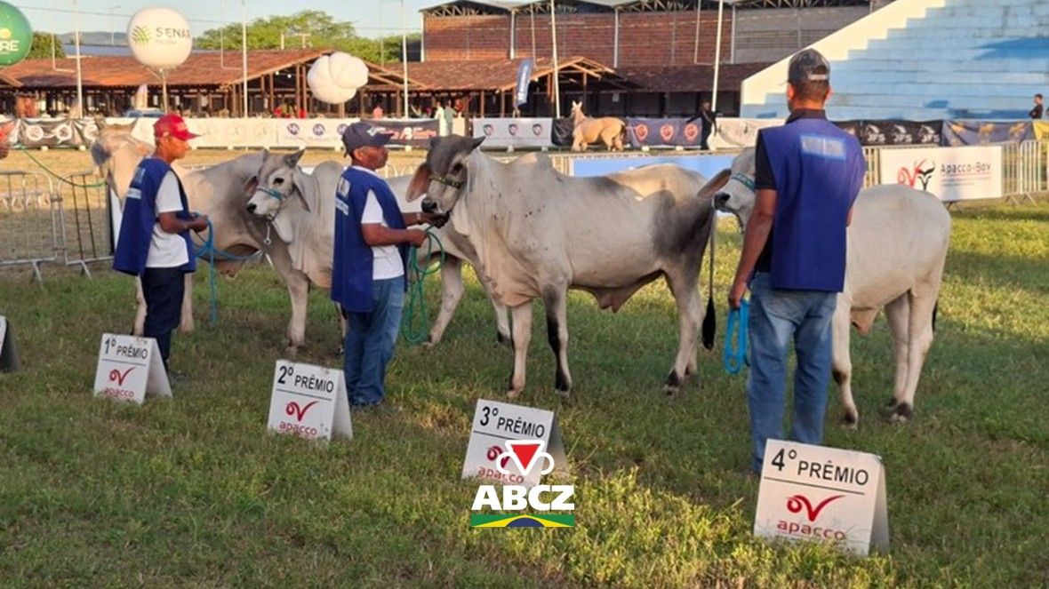 ABCZ amplia apoio a exposições regionais com atuação do Colégio de Jurados das Raças Zebuínas