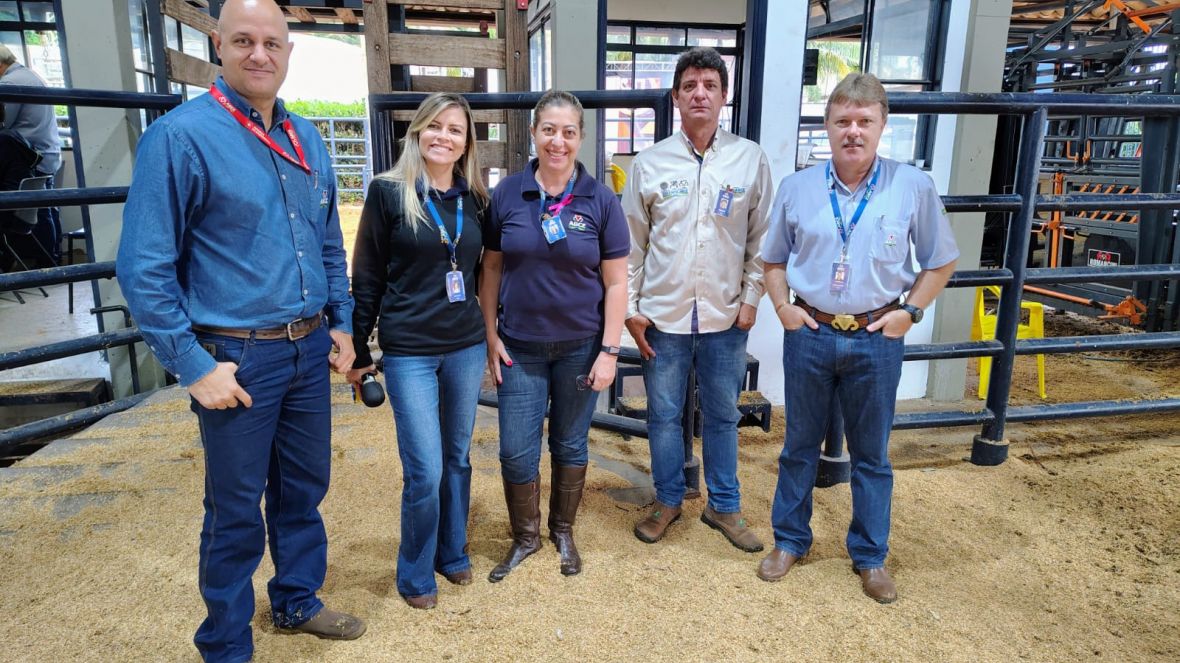 Dia de decisão para animais que participam da 90ª ExpoZebu