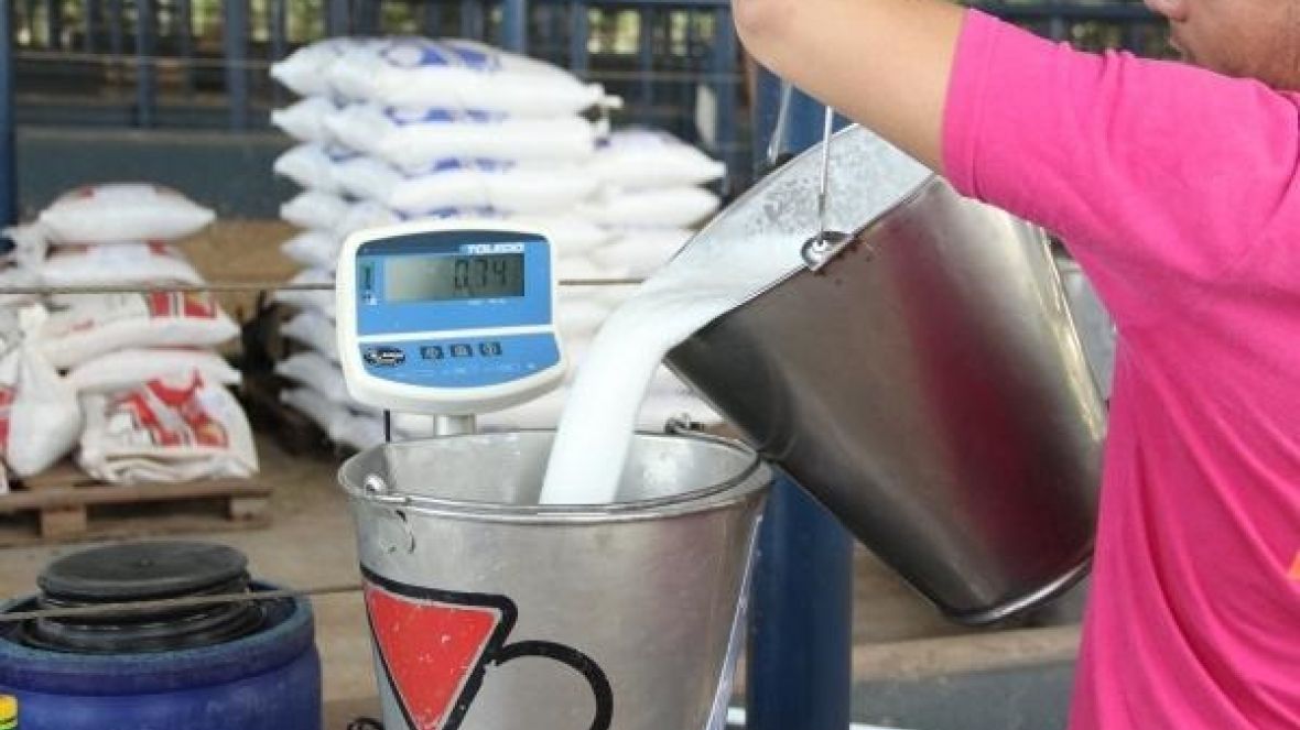 ExpoZebu 2022: Concurso Leiteiro bate recorde de inscrições 