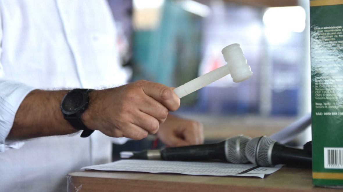 Leilões da 16ª ExpoGenética já somam mais de R$ 38 milhões