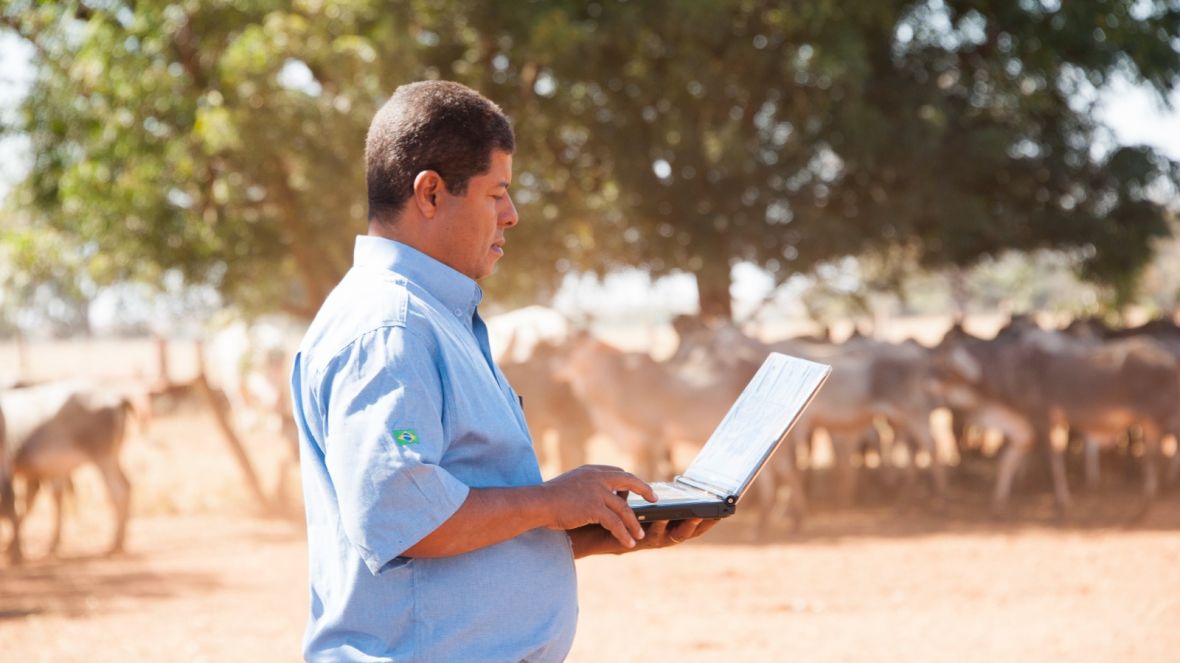 ABCZ divulga atualização das avaliações genéticas do PMGZ Corte – AG 2024-4