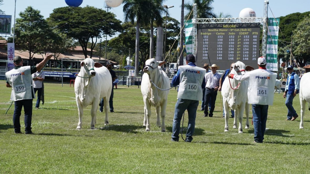 ExpoZebu: domingo é marcado por início dos julgamentos 