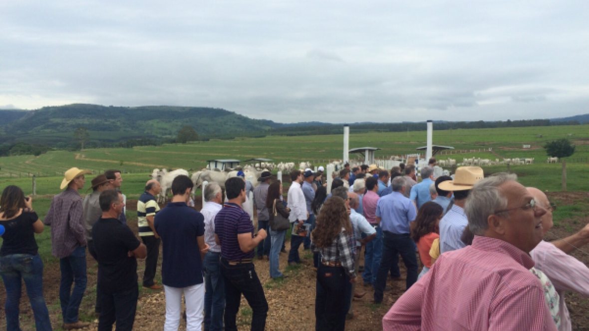 Dia de Campo com PMGZ e Pró-Genética leva 150 pessoas para Fazenda Da-Car