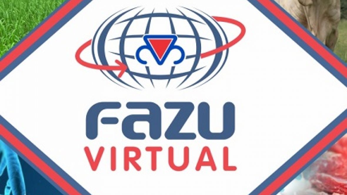 Fazu Virtual: faculdade lança Educação a Distância