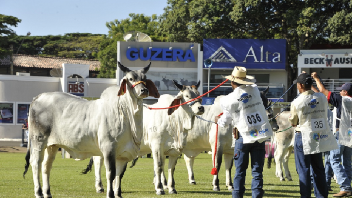 ACGB divulga resultado final do Ranking 2015/2016