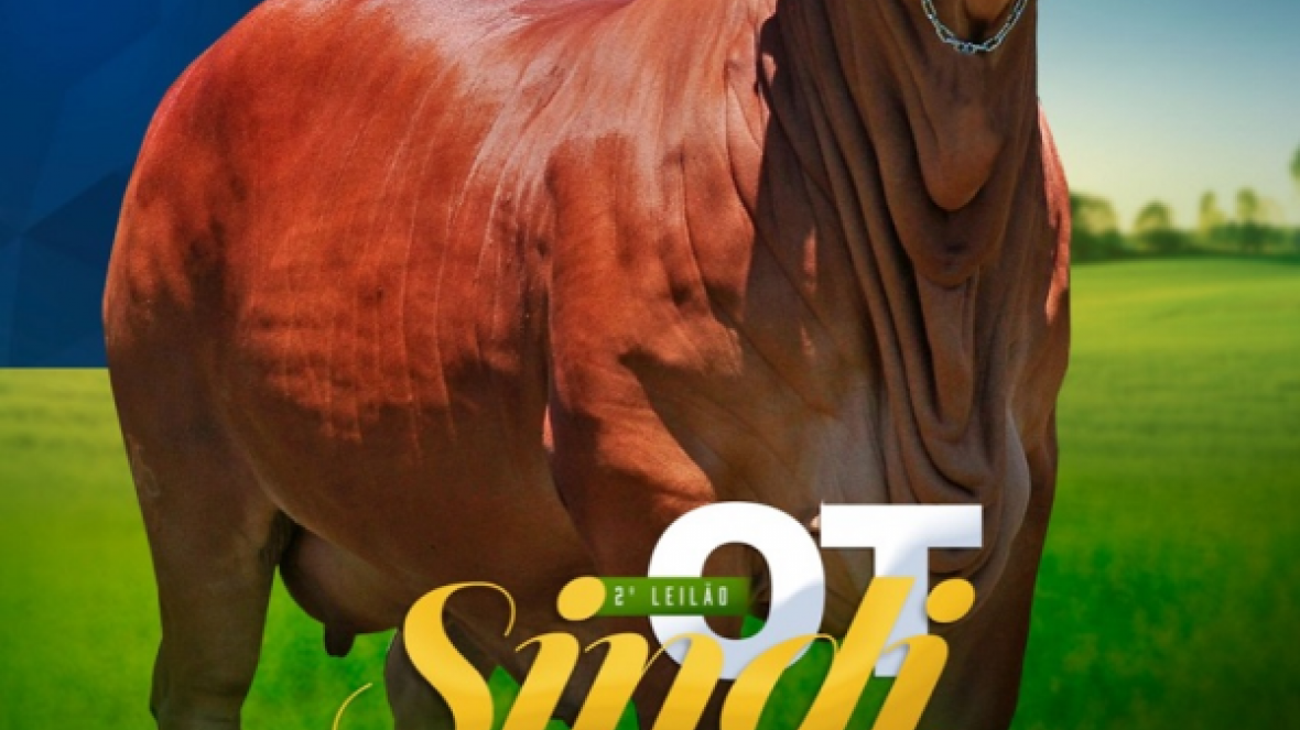 ?2º Leilão Sindi OT? acontece no próximo sábado (10)