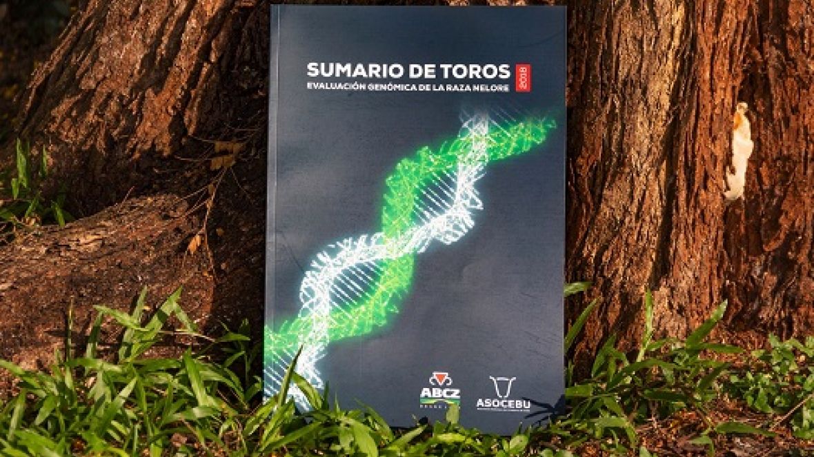 Primeiro Sumário de Touros do ?PMGZ Internacional? é lançado na Bolívia.