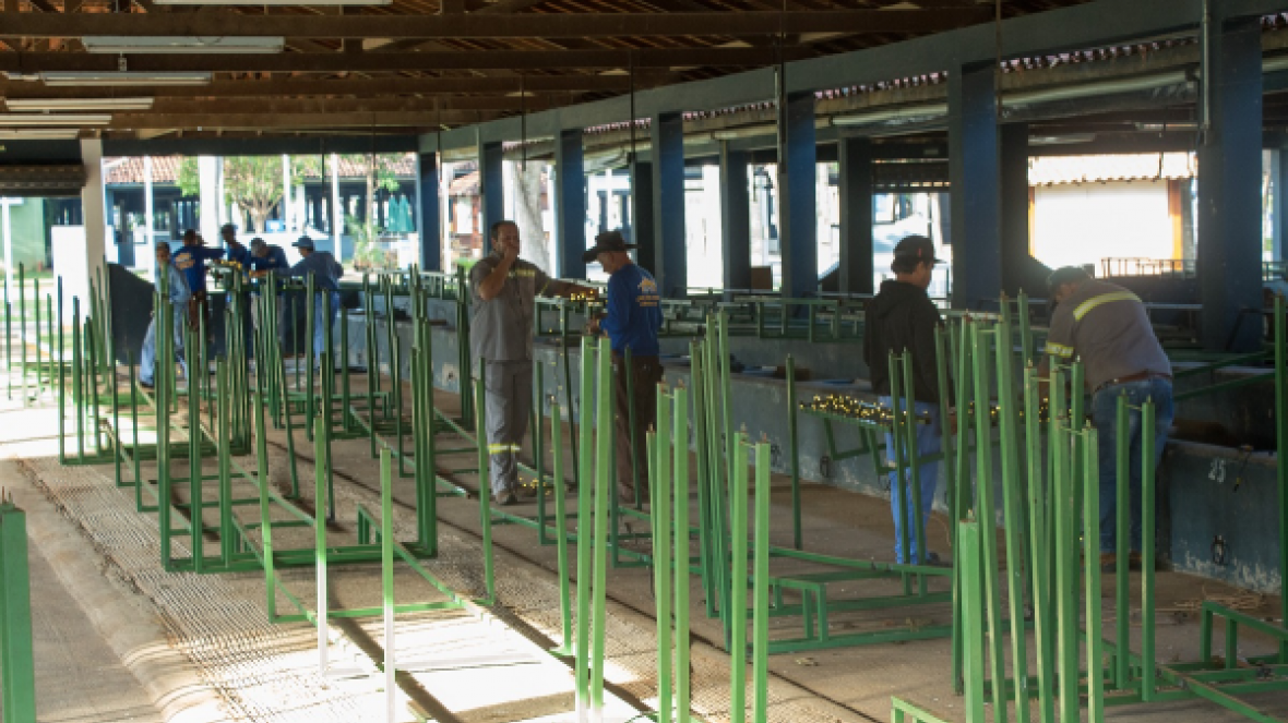 Preparativos para ?Natal no Parque? já movimentam Parque Fernando Costa