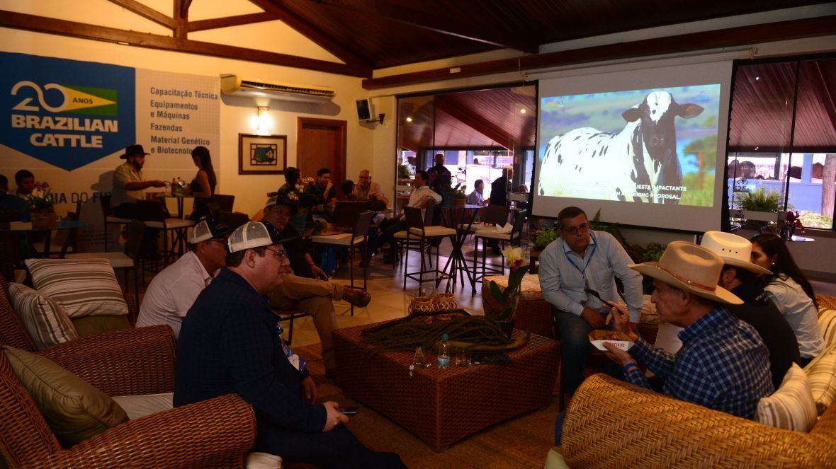 18ª ExpoGenética: Salão Internacional da ABCZ terá programação para o público estrangeiro e empresas participantes do Brazilian Cattle