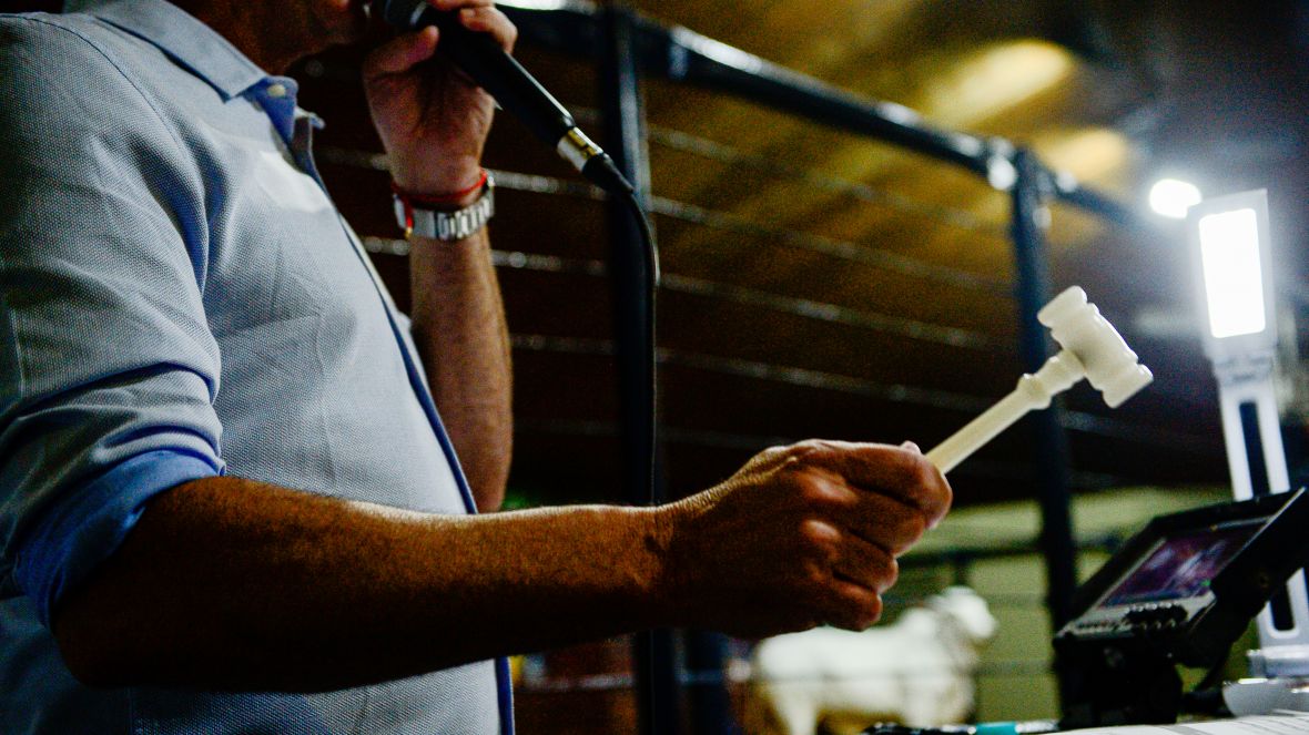 Leilões da 16ª ExpoGenética ultrapassam a marca de R$ 33 milhões