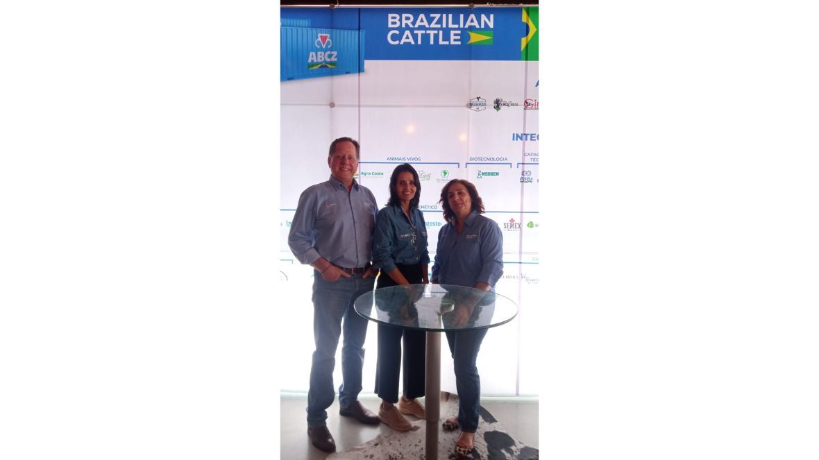 Brazilian Cattle promove genética brasileira entre visitantes estrangeiros da 74ª Expoagro, em Maceió (AL)