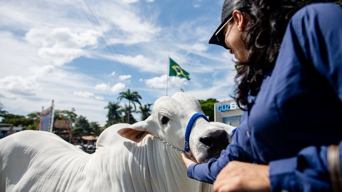 88ª ExpoZebu: integrada, moderna e conectada com o público