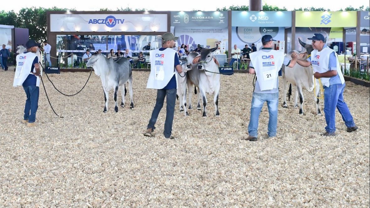 Guzerá Leiteiro foi destaque na 3ª ExpoLeite