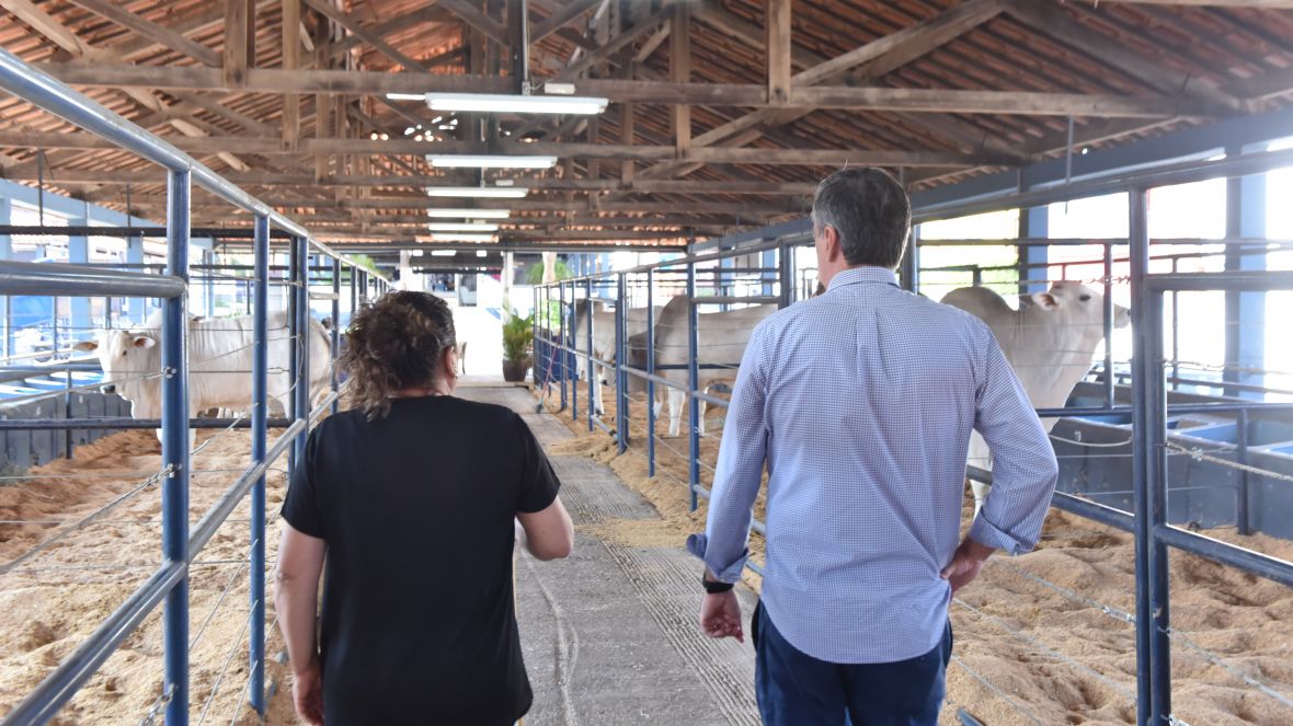 17ª ExpoGenética: melhoramento genético em destaque e pavilhões quase lotados