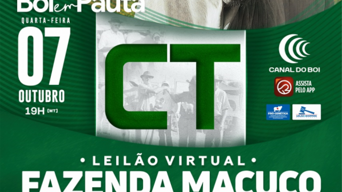 ?Leilão Virtual Fazenda Macuco? vai oferecer 30 touros Nelore no próximo dia 7