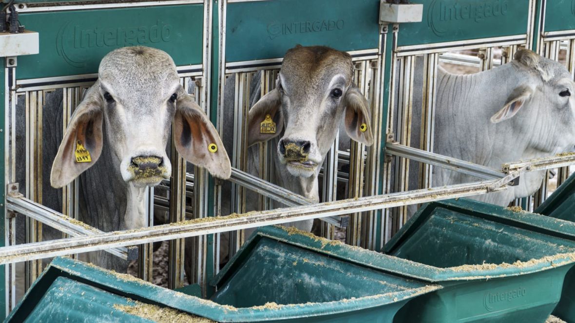 Inscrições abertas para 5ª Prova de Eficiência e Performance Brahman