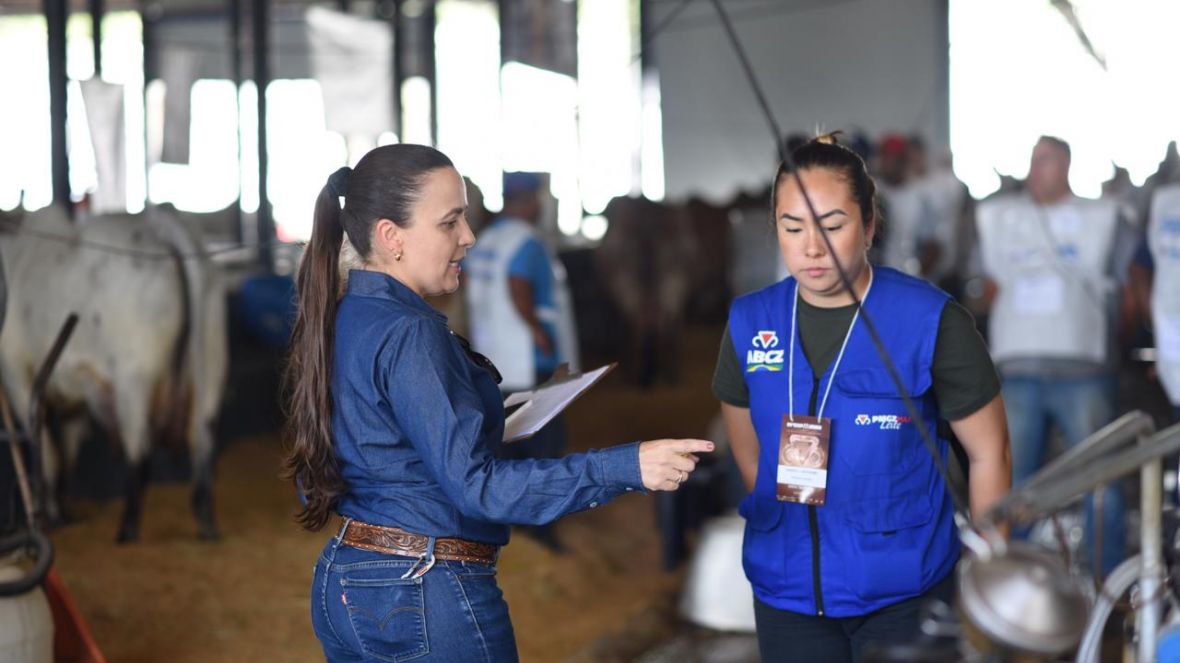 89ª ExpoZebu: Começa o 44º Concurso Leiteiro com 59 fêmeas inscritas